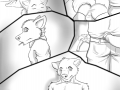 fc35089_wolf camp pg 1.png